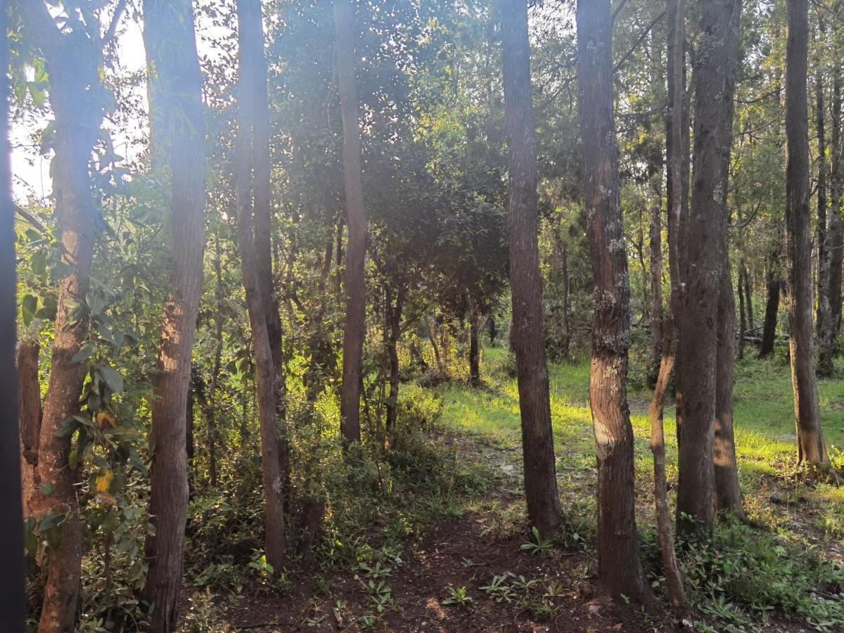 Cabana Estilo Pucon Bagian luar foto